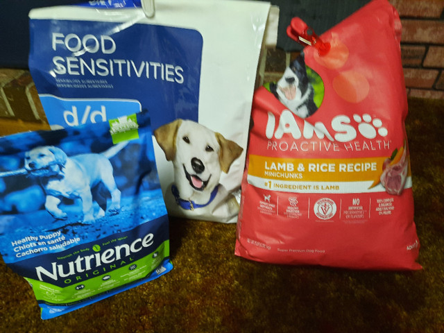 Dog Food in Accessories in Kamloops