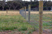 Custom cattle and acreage fencing