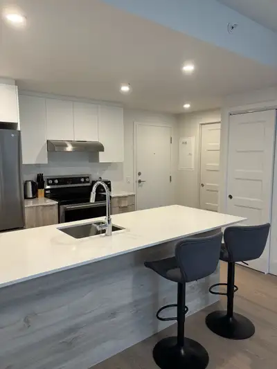 CONDO 367 ave des Pins, E, mtl
