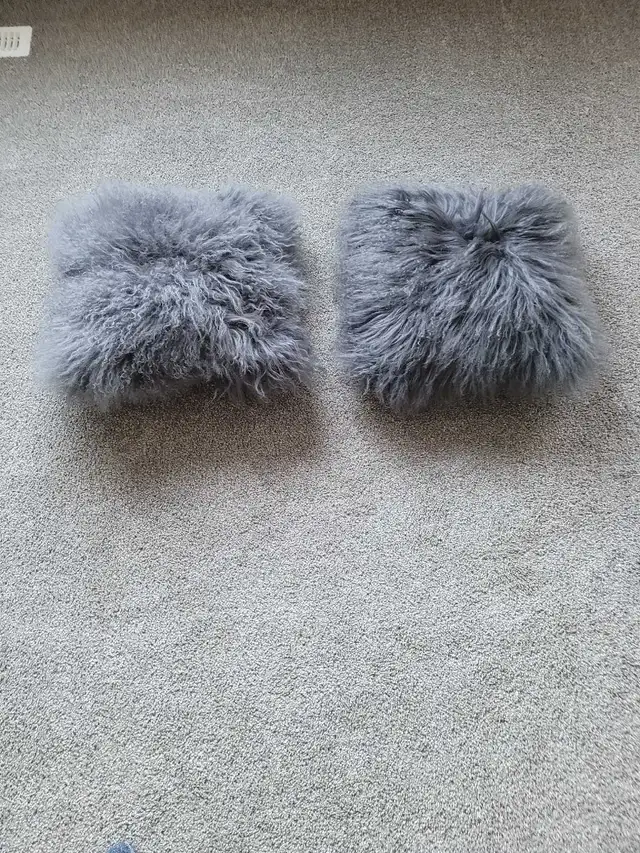 Sofa Cushions64407491603329121