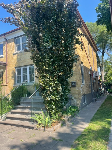 Recently renovated large, one-bedroom apartment, two blocks off Pape station. Internet and all inclu...