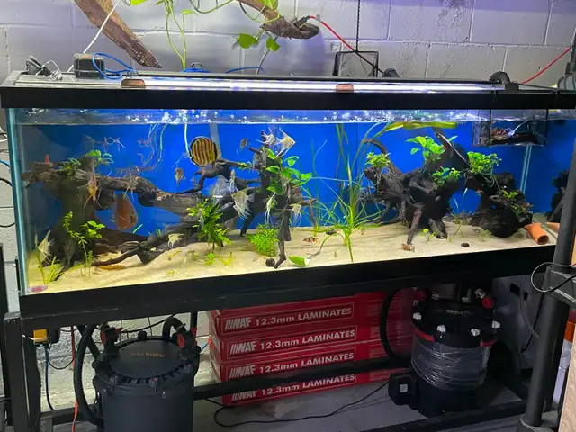 135 gallon aquarium in Accessories in Mississauga / Peel Region - Image 4