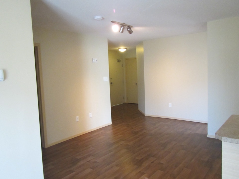 SPACIOUS CORNER APARTMENT 3