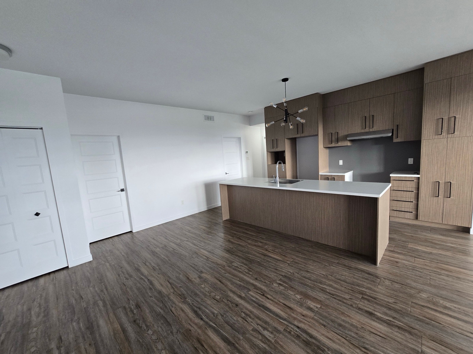 appartement st-hyacinthe à louer — photo 1