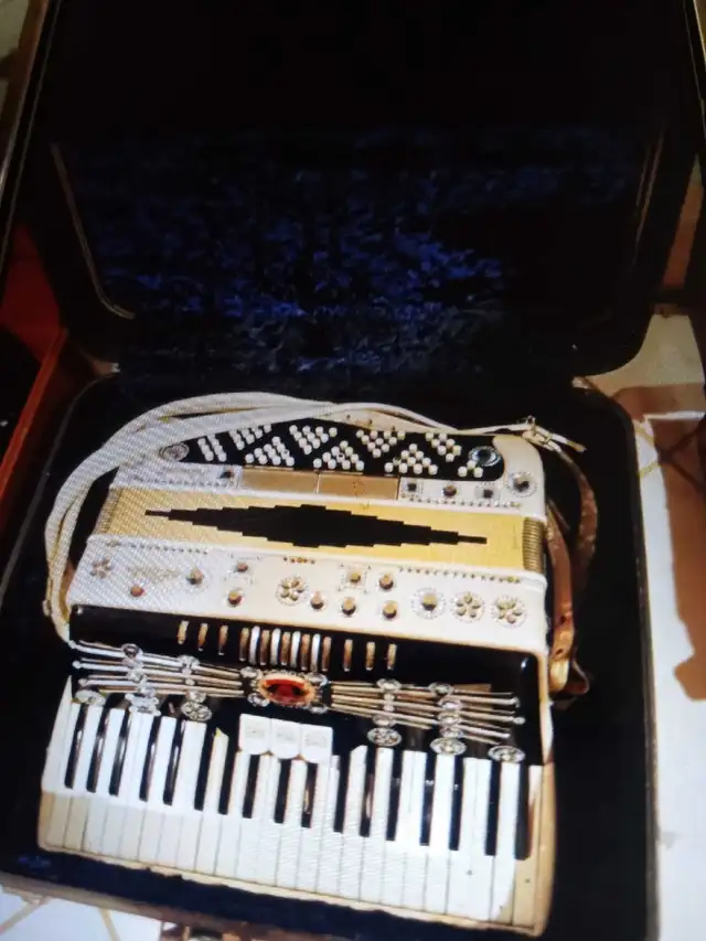 vintage musical instruments in Other in Markham / York Region - Image 5