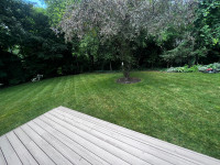 North York Lawn Care & Landscaping | 6472740770