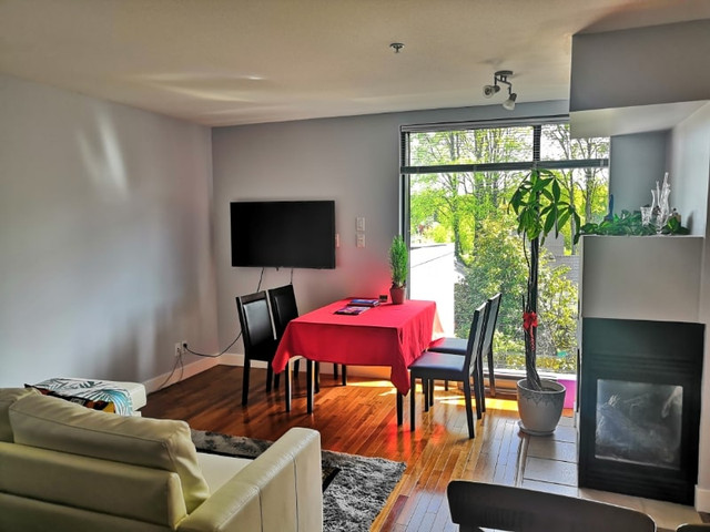 Kitsilano Furnished 1 Bedroom Apartment in Long Term Rentals in Vancouver - Image 2