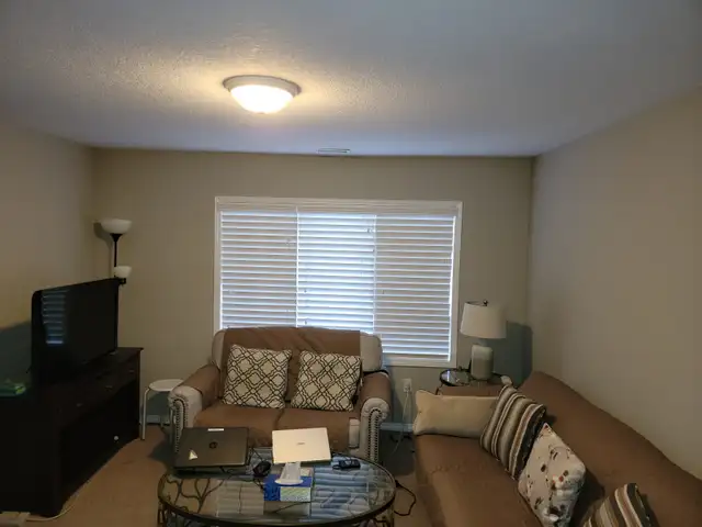 Room for rent in quite peaceful house in Kitchener Ontario in Room Rentals & Roommates in Kitchener / Waterloo - Image 5