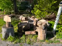 FREE - well seasoned logs and a well used Nesting Box