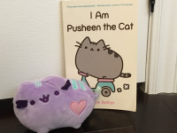 Pusheen the Cat Book and Toy