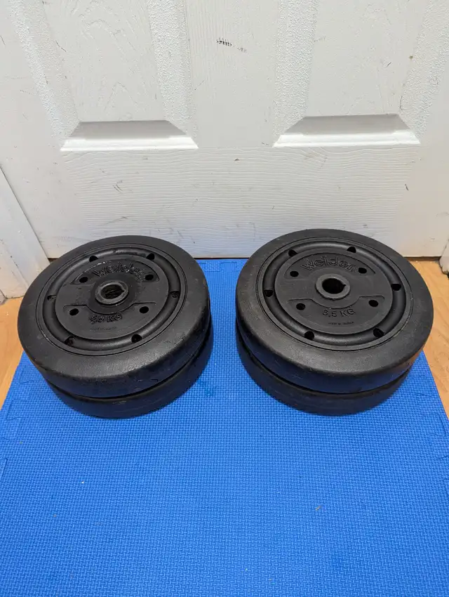 vinyl weight plates $0.50/lbs in Exercise Equipment in Delta/Surrey/Langley - Image 9