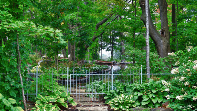 cloture ornementale en acier galvanisé dans Terrasses et clôtures  à Trois-Rivières - Image 4