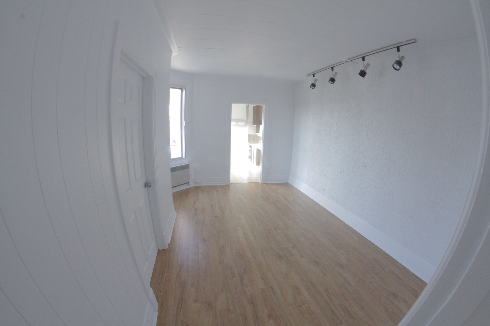 Grand 6 1/2 lumineux à louer – VillerayDisponible le 1er Sept — photo 1