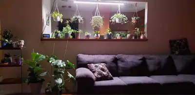 22 Watt Full Spectrum Grow Light, View more