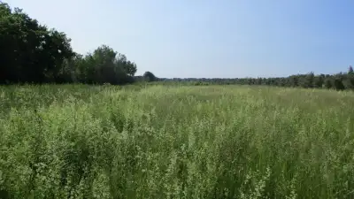 Quality ready to build on building lot. Build the home of your dreams! This lot is cleared with no t...