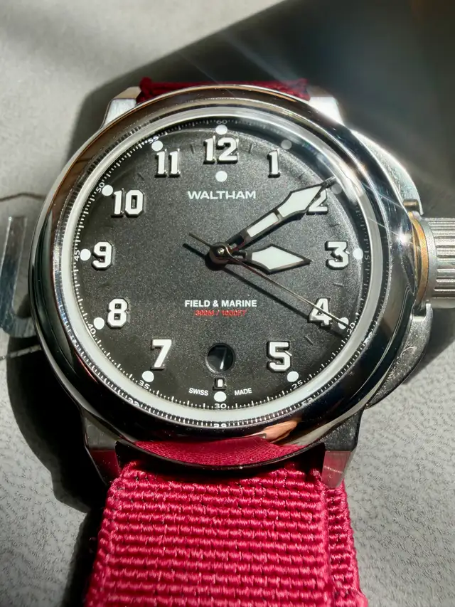 Waltham Field & Marine Watch