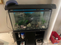 20 gal aquarium with stand and more!