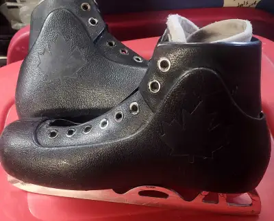 Master Skates, View more