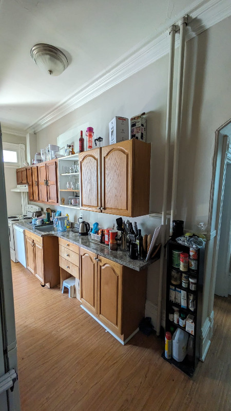 Gorgeous apartment for summer sublet (single room) in Short Term Rentals in City of Halifax - Image 3