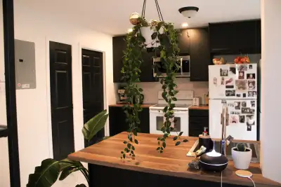Chaleureux petit 4 ½ entièrement rénové dans le quartier Ville-Marie à 7 minutes à pieds du métro Fr...