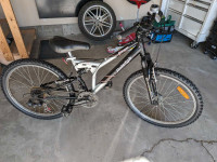 Raleigh full suspension mountain bike