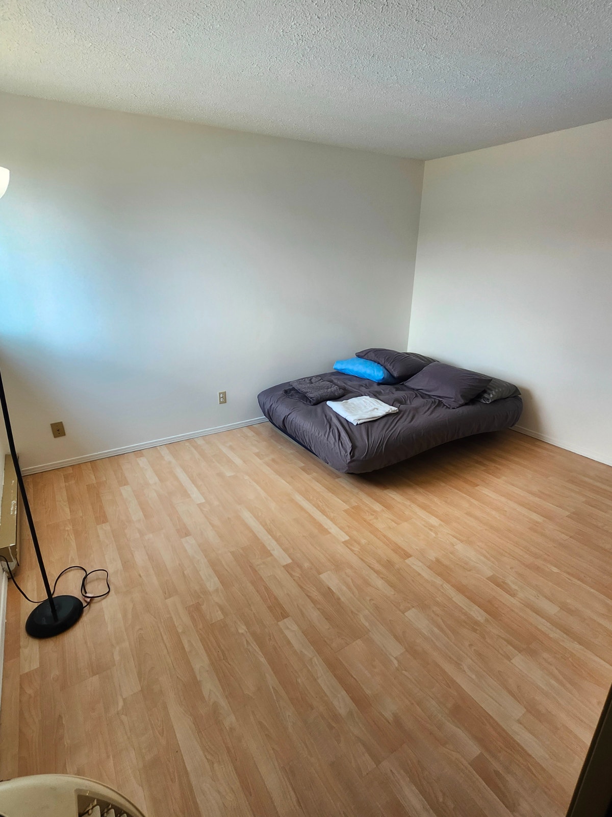 condo a louer Sainte-Foy — photo 2