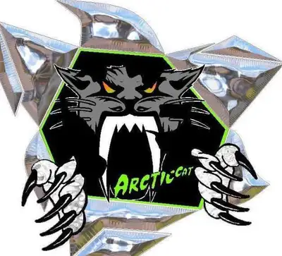 Specializing in ARCTIC CAT SNOWMOBILES PARTS 2012-2017 PROCLIMB M800/M8000 and M1100/M9000 Turbos. 2...