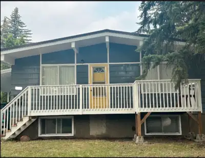 Roommate Wanted