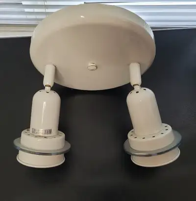 Ceiling fixture with 2 adjustable lights, View more