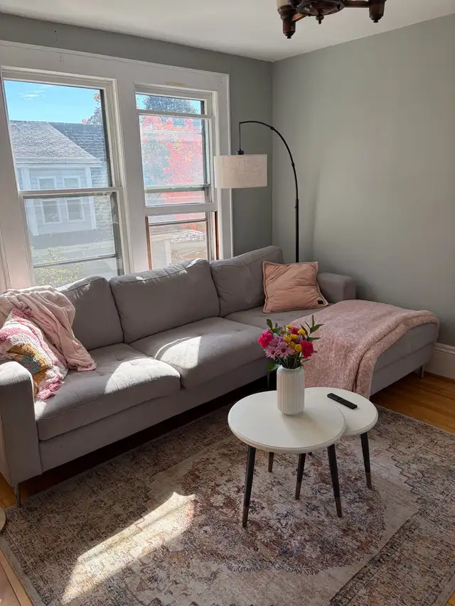 1 bedroom apartment  in Long Term Rentals in Fredericton - Image 2
