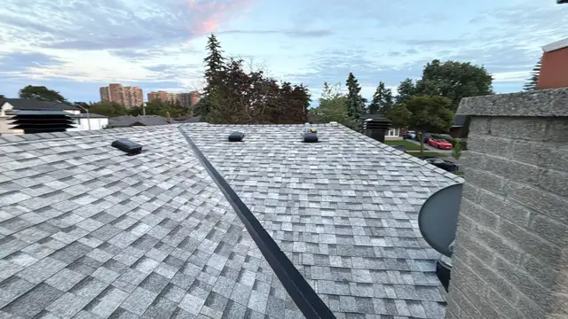 905-965-1687/ Roofing Replace Repair/Eavesdrop Gutter Siding