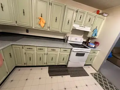 ALL UTILITIES INCLUDED. Near SAFEWAY SHOPPERS TIMIS A&W POPEYES AUTOPAC TD BANK. ETC (2’ m walk )))...