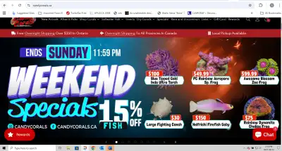 CANDY CORALS SALE - GROUP ORDER - FREE SHIPPING, Voir plus