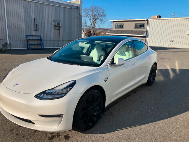Executive driven 2020 Tesla model 3, Standard Range Plus. 79,000 in Cars & Trucks in New Glasgow