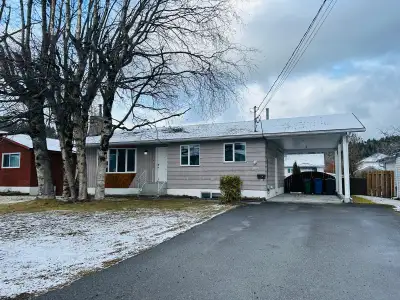Beautiful newly renovated upper suite available now or May 1. This bright and spacious home features...