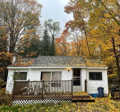 Sunny Lakefront 2 Bdrm Cabin by Huntsville, View more
