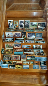 58 vintage unused postcards & prints