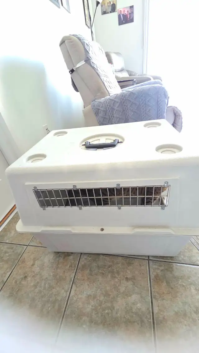 CAGE ANIMAUX in Accessories in Saint-Jean-sur-Richelieu - Image 3