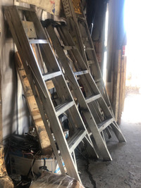 Ladders all great condition 60 each