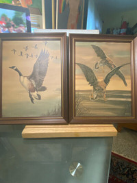 Old 2 Pc Maniscalco Signed Pheasant Framed Print