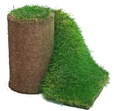 We offer peat based Kentucky Bluegrass sod - from the good folks at Hildebrand Sod Farm - fresh from...
