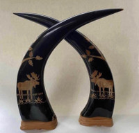 Pair of Carved Buffalo Horn