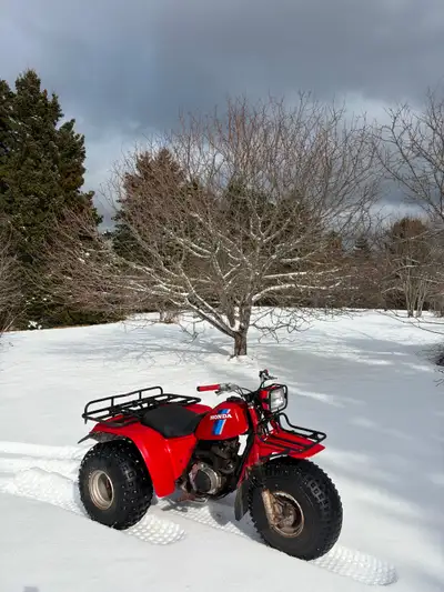 Great 200 Big Red for sale. Needs nothing, everything works. Have the papers for it.