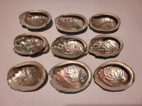 9 abalone Shells lot 1