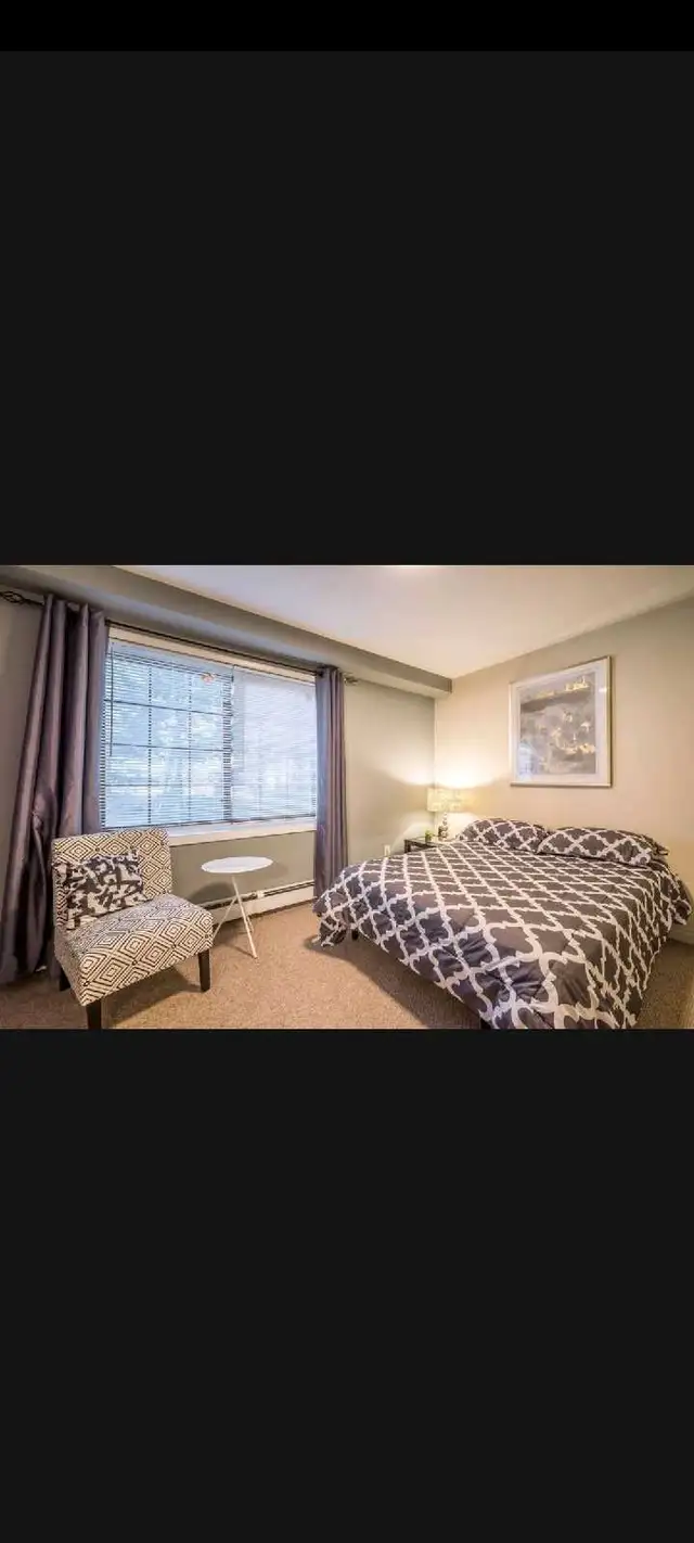 furnished and unfurnished Bachelor apartments available now in Long Term Rentals in Dartmouth - Image 6