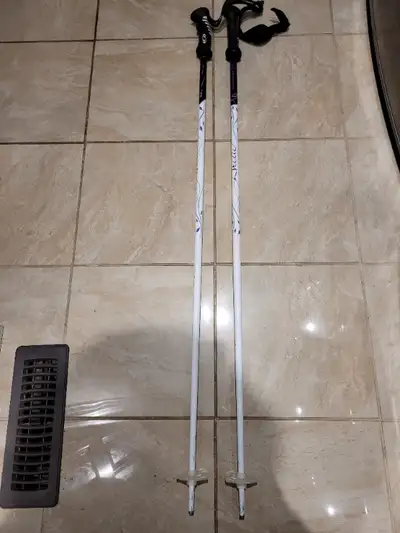 Salomon Arctic downhill ski poles 110cm., View more