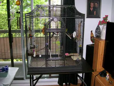 cage oiseaux 38 hauteur par 22 profondeur 32 de large, View more