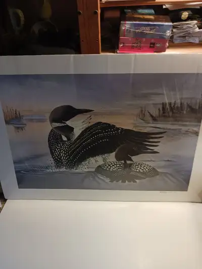 Paul Weisberg Loons Print, View more
