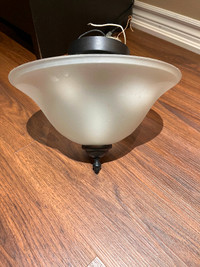 2 light ceiling light