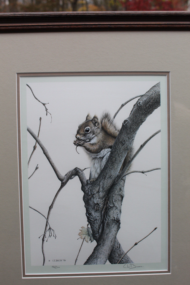 Red Squirrel by Chris Bacon acid free matting 1985 in Arts & Collectibles in St. Catharines - Image 2